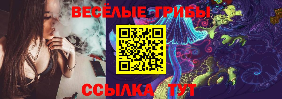 Псилоцибиновые грибы прущие грибы Клинцы