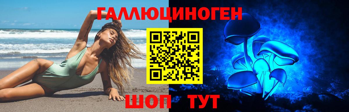 Клинцы  Псилоцибиновые грибы ЛСД  Вход с VPN 